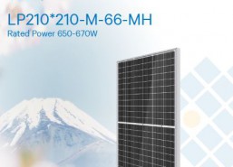 Tấm pin năng lượng mặt trời LEAPTON Mono Half Cell 650Wp